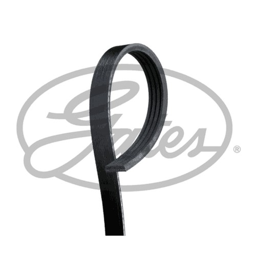 Rib multi drive belt for - drive,