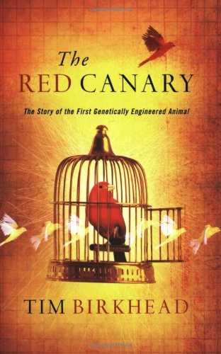 The red canary - red, story