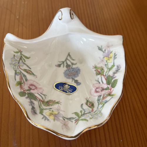 Aynsley wild tudor - aynsley,