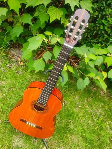 Elite takamine 90 - elite, by