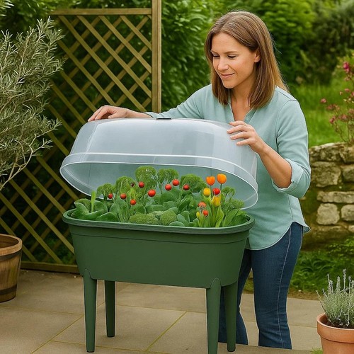 Mini greenhouse propagator - mini,