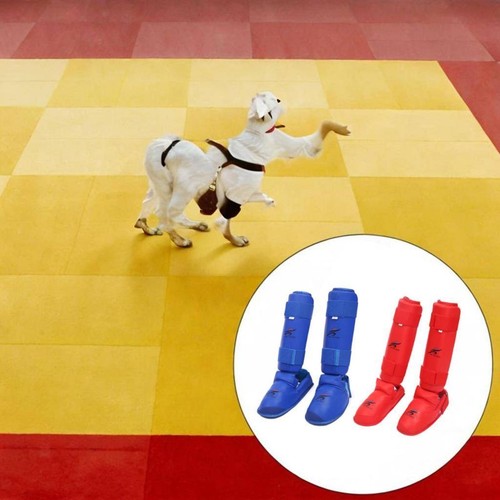 Kickboxing shin guards - kickboxing,