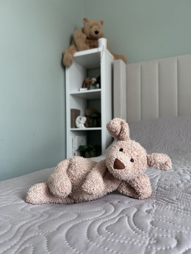 Jellycat chou puppy - jellycat,