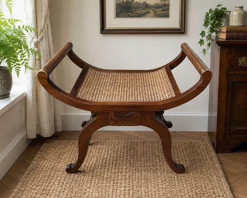 Vintage mahogany caned window - vintage,