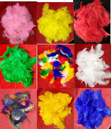 Coloured feathers 8 - feathers,
