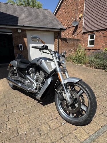Harley davidson rod - v, muscle