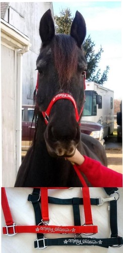 Mini pony cob horse - cob, nylon