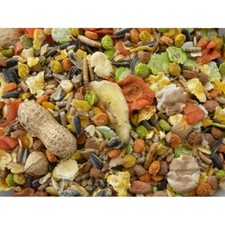 Premium Hamster & Gerbil Food Mix with Fruit Veg Mealworms Nuts & Mealworms