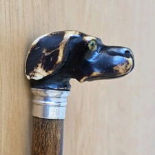  Antique Dog Head Silver Collar walking cane. 1917 Hallmarked 