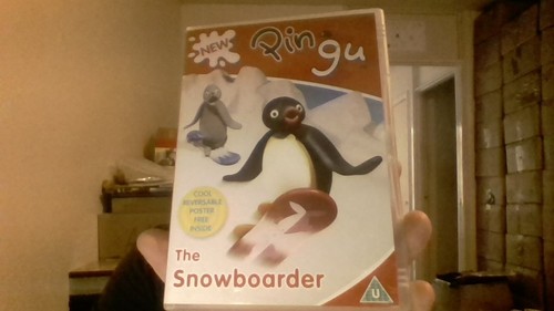 Pingu the - pingu, snowboarder