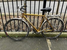 Gold Genesis Ridgeback Day-01