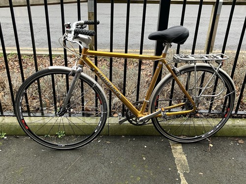 Gold genesis ridgeback - gold, day-01