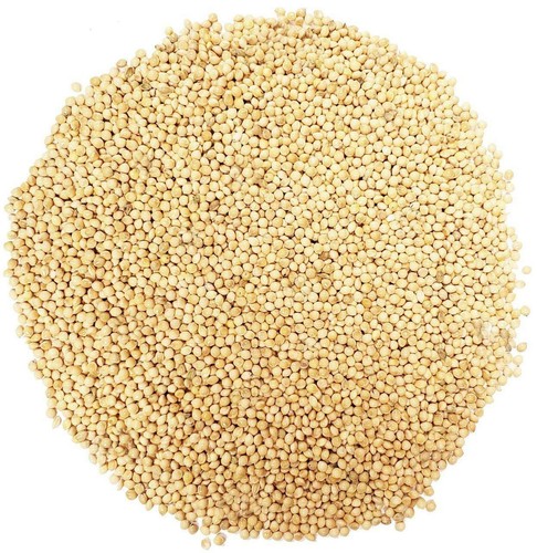 Copdock mill white millet 20kg - mill,