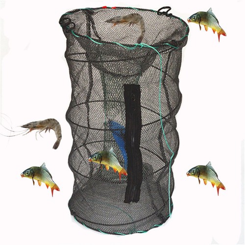Fishing bait trap crab minnow - fishing,