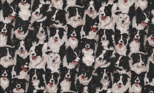 Border collie fabric dogs - border,