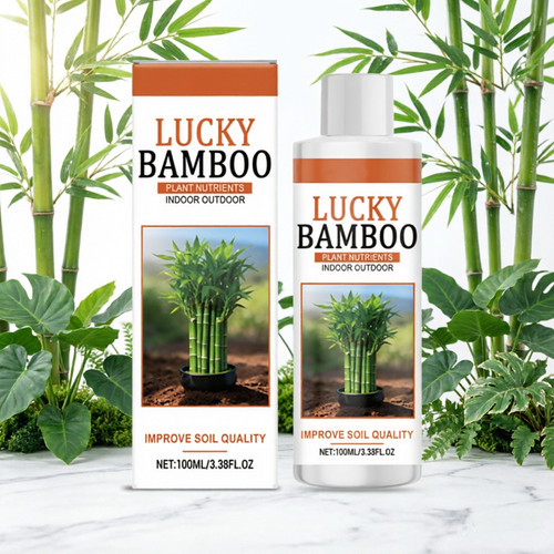 Lucky bamboo plant nutrients - bamboo,
