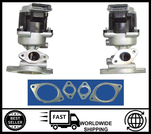 Pair egr valve - pair, &
