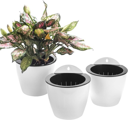 Pack self watering wall - 3,