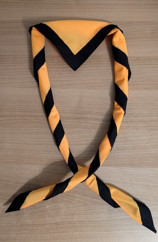 Scout youth necker scarf - scout,