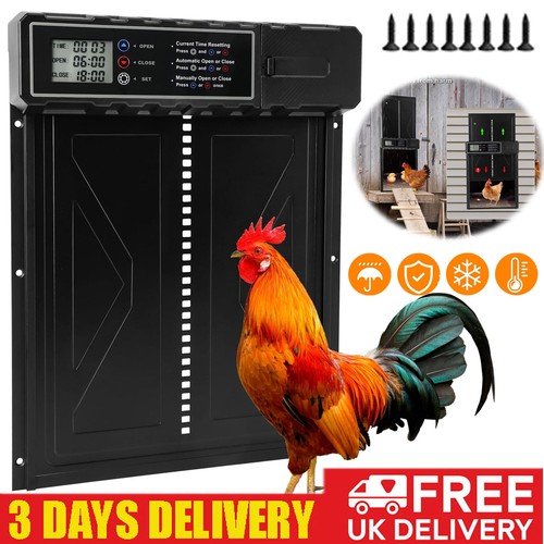 Automatic chicken coop - chicken, door