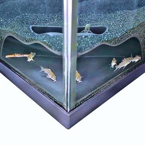 Aquarium underground corner - underground,