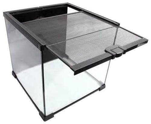 Reptile one mini terrarium - reptile, t2