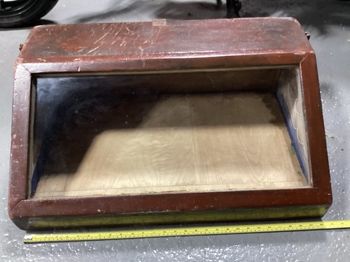 Large display case - large,