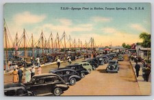 Tarpon Springs Florida FL