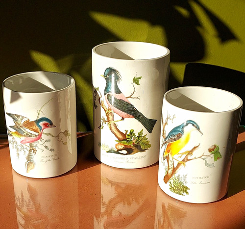 Portmeirion birds britain - birds,