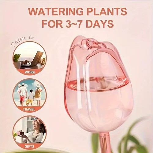 Pink tulip plant watering - pink,
