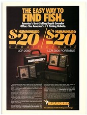 1986 Hummingbird LCR 2000