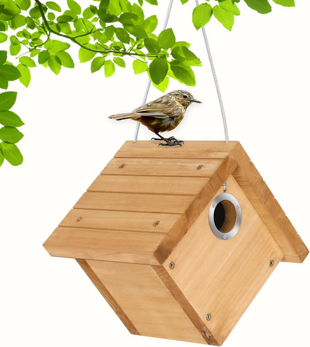 Wren bird houses - for, outside