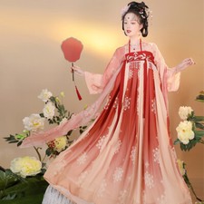 Women Hanfu Suit Maxi Dress Ancient Chinese Costume Beaded Floral Cosplay Outfit