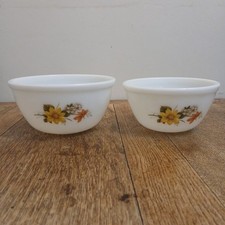 Jaj Pyrex 2 Autumn Glory Vintage Mixing Pudding Bowl 1960s Excellent Condition