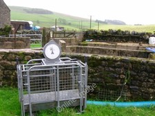 Photo 6x4 Sheep pens with sheep scales at Bordley  c2009