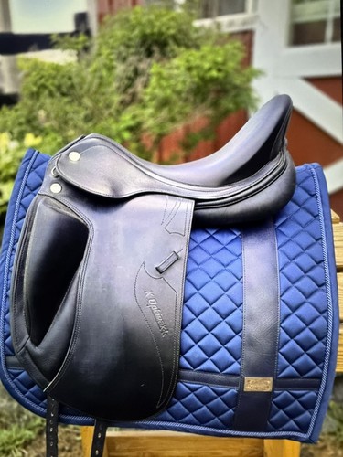 Prestige optima dressage - x, k
