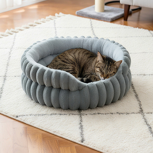 Deep sleep cat - sleep, round