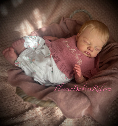 Irys kazmiercak pietka - -,