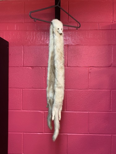 Genuine vintage mink - genuine,