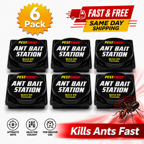 Ant killer bait stations - 6,