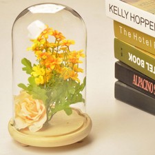 Antique Large Glass Dome with Wooden Base CDisplay Bell Jar Cloche Decorat Stand