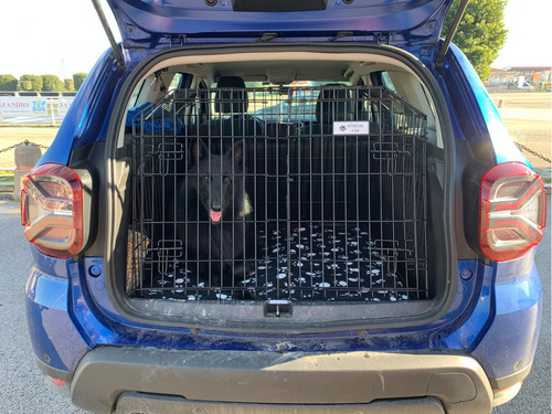 Pet world car dog - pet, for