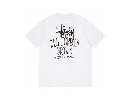 Stussy fw25 ss25 - stussy, grown