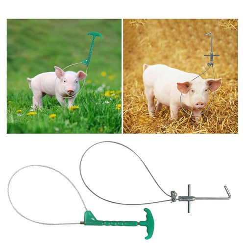 Pig holder catcher steel - catcher,