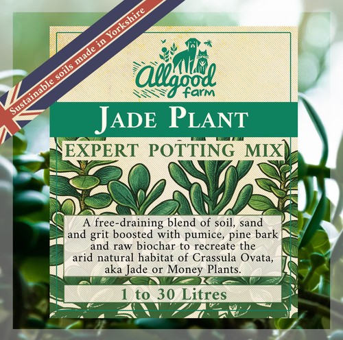 Jade plant premium - jade,