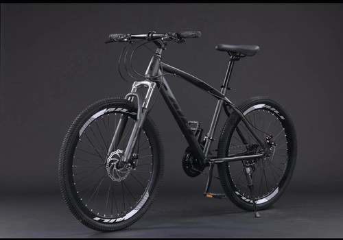 Mountain bike - mountain,
