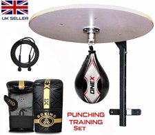 Speedball Platform with Punch