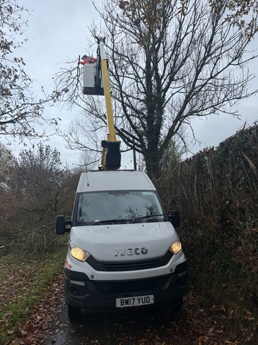 Cherry picker hire - cherry,