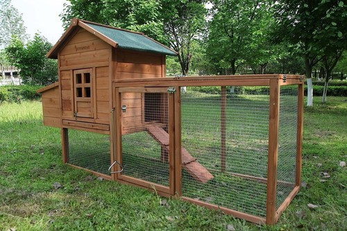 Large chicken coop wooden - chicken,