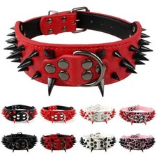 5cm Wide Spiked Studded